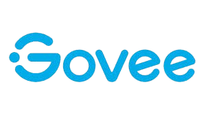 Govee Lights India
